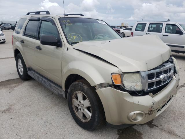 Ford Escape xlt (2011)