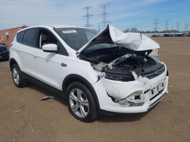 Ford Escape se (2013)