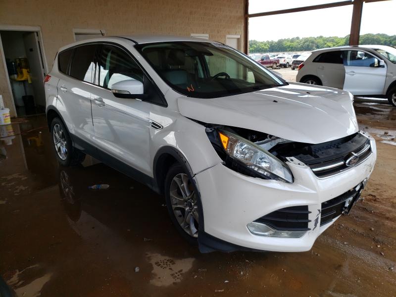 Ford Escape sel (2013)