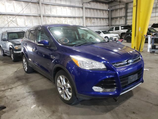Ford Escape sel (2013)