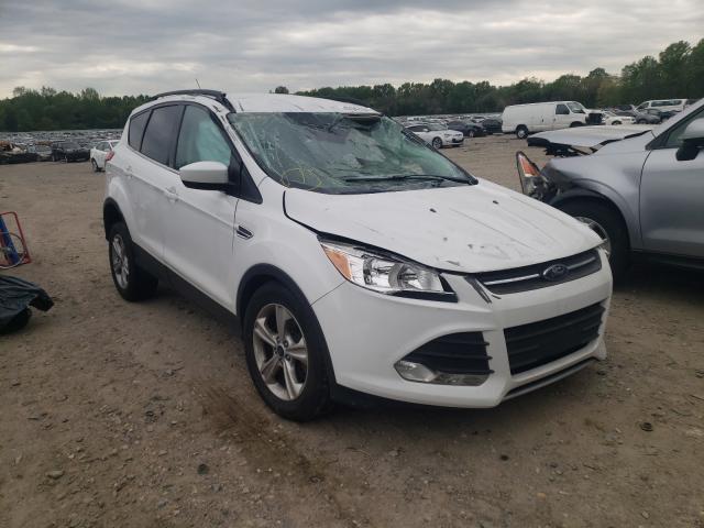 Ford Escape se (2014)