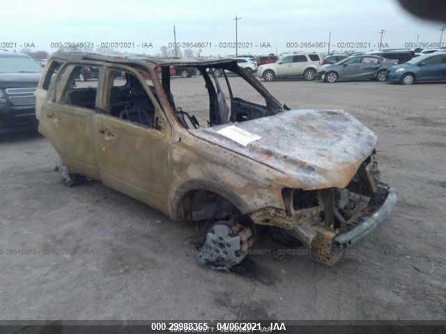 Ford Escape (2010)