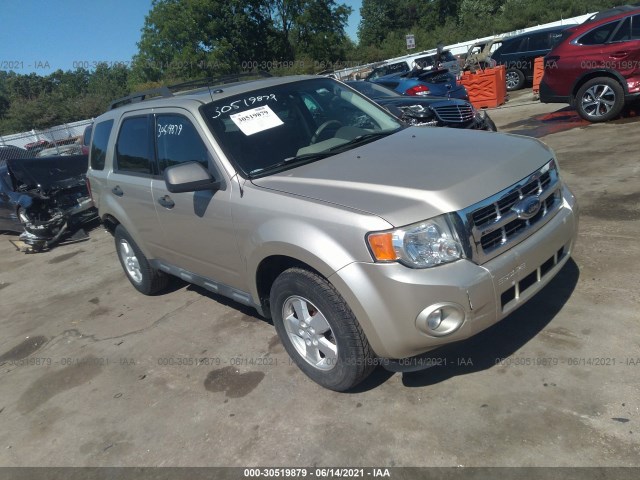 Ford Escape (2010)