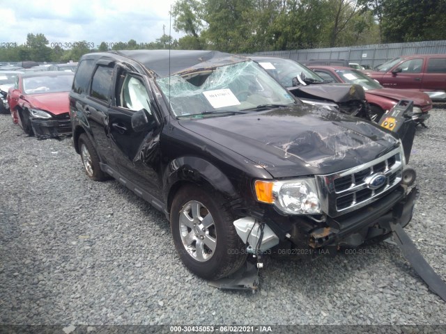 Ford Escape (2011)