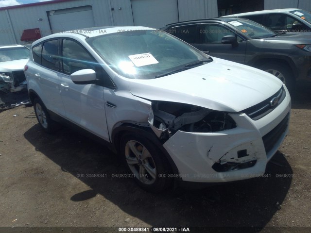 Ford Escape (2014)