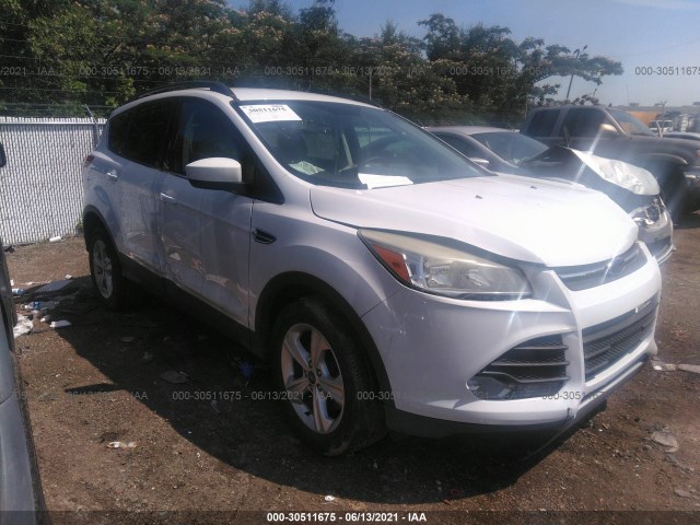 Ford Escape (2014)