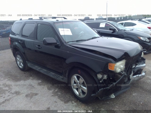 Ford Escape (2010)