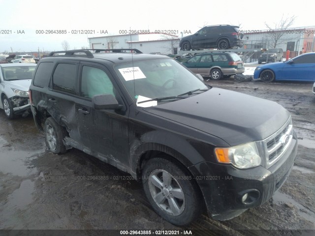 Ford Escape (2010)