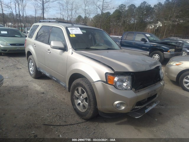 Ford Escape (2010)