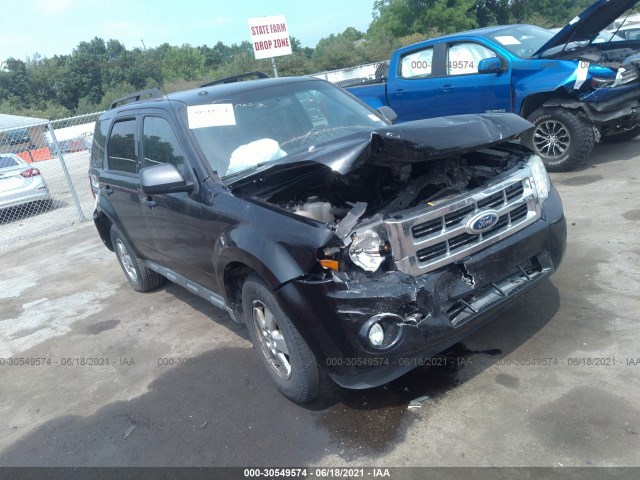 Ford Escape (2010)