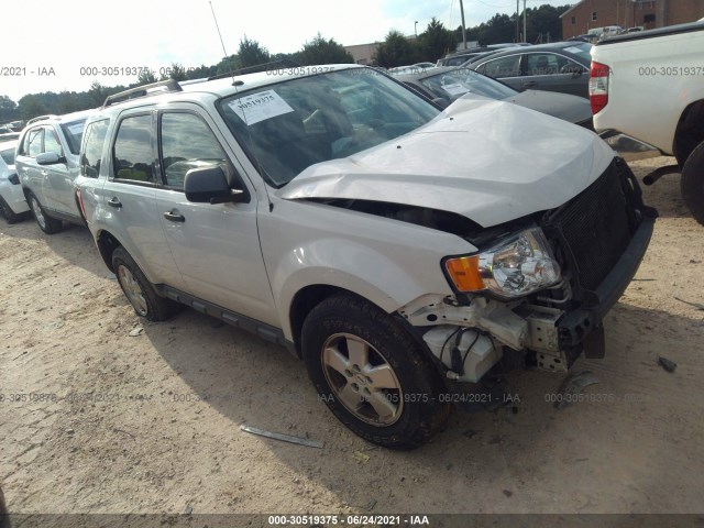 Ford Escape (2011)