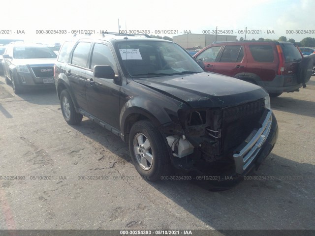 Ford Escape (2010)