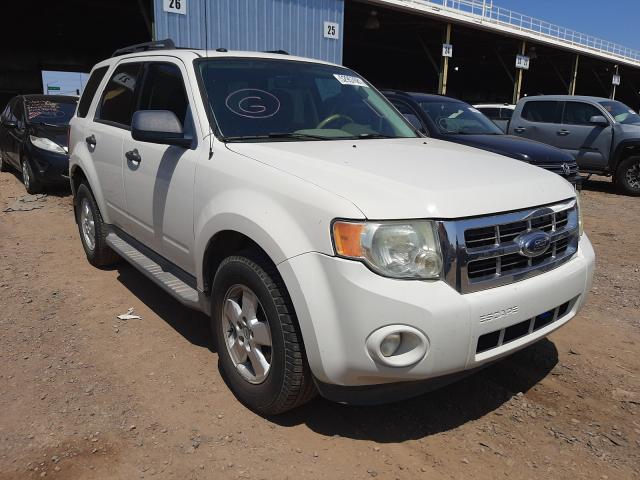 Ford Escape xlt (2010)