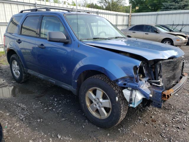 Ford Escape xlt (2010)