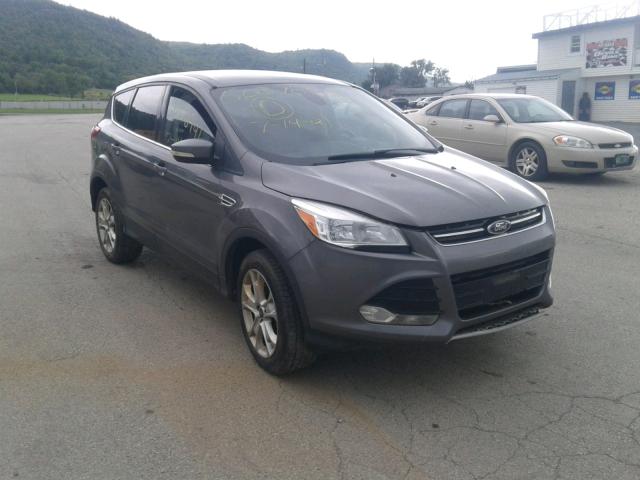 Ford Escape sel (2013)