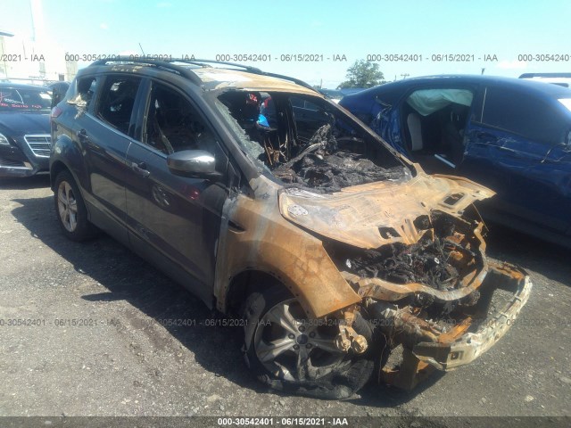 Ford Escape (2014)