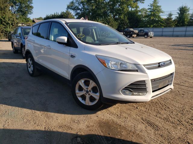 Ford Escape se (2014)