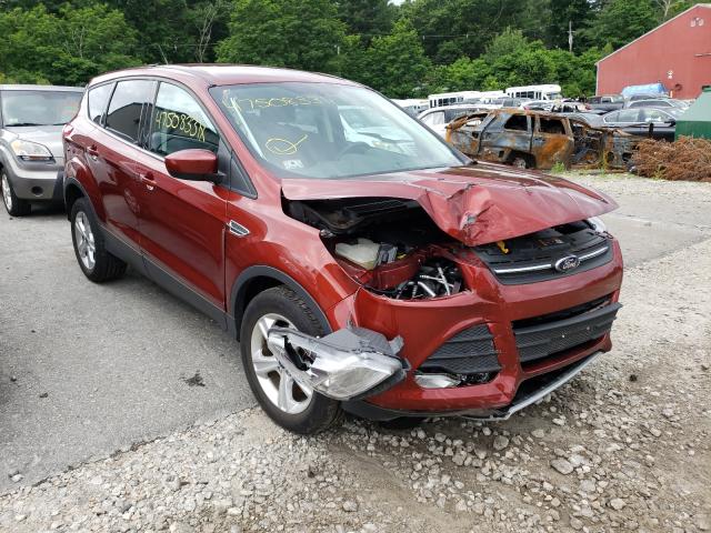 Ford Escape se (2014)