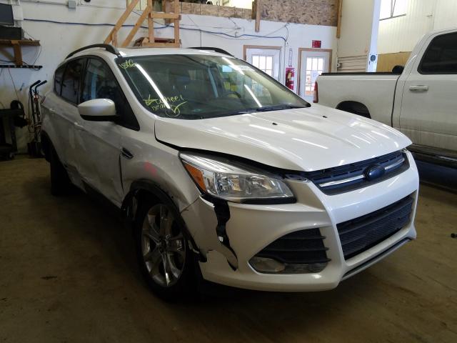 Ford Escape se (2014)