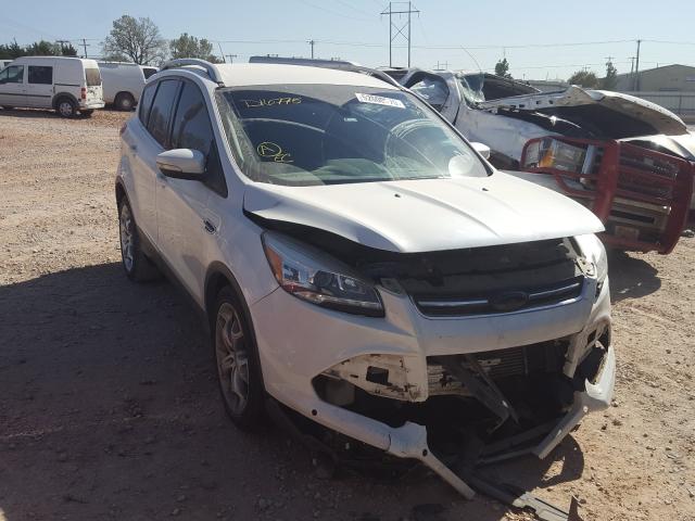 Ford Escape tit (2014)
