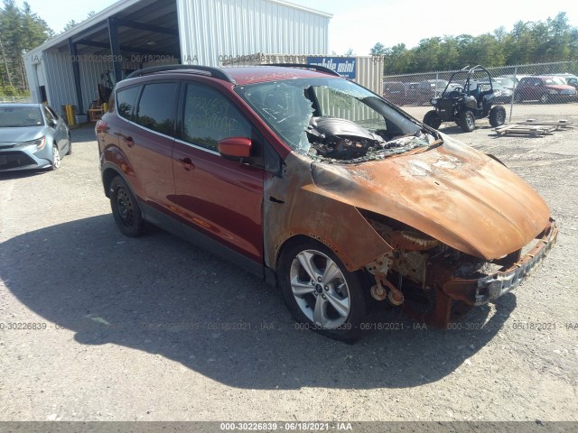 Ford Escape (2014)