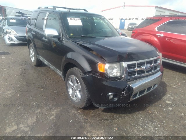 Ford Escape (2011)