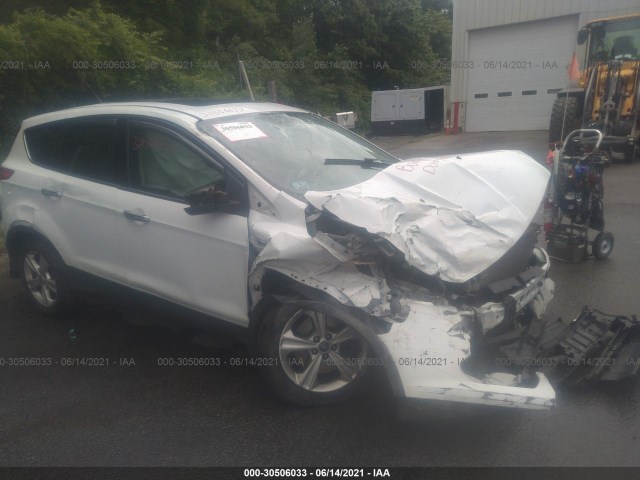 Ford Escape (2013)