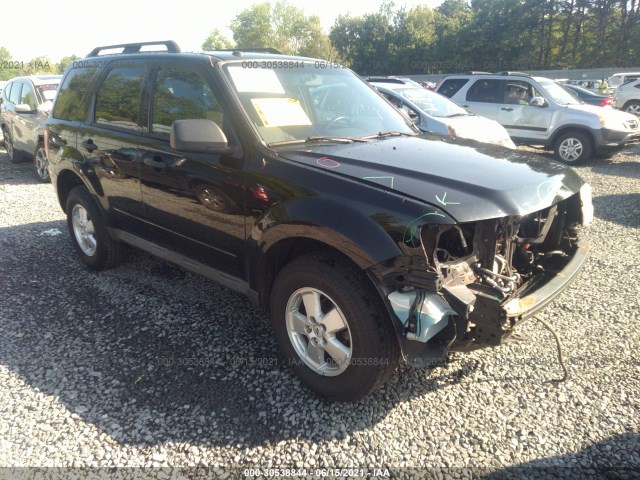 Ford Escape (2010)