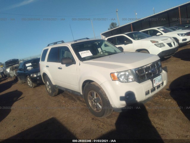 Ford Escape (2011)