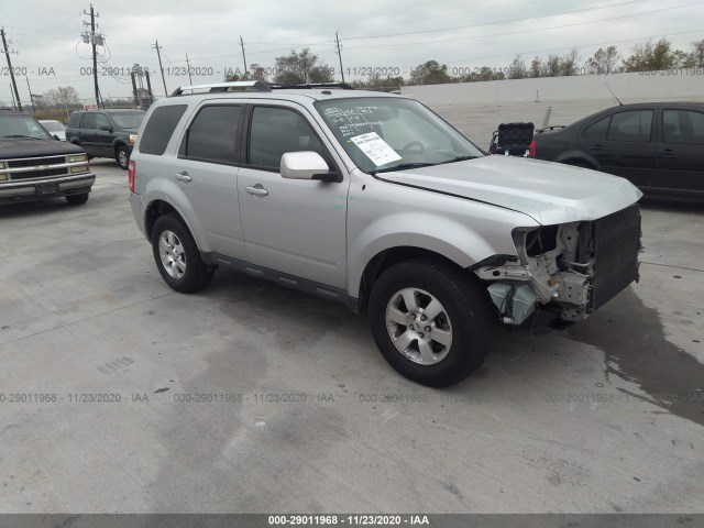 Ford Escape (2010)