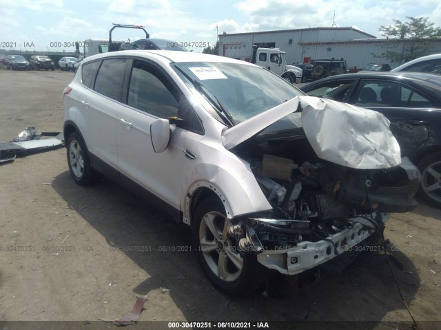 Ford Escape (2013)
