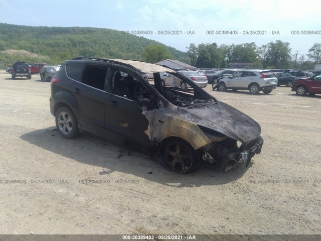Ford Escape (2013)