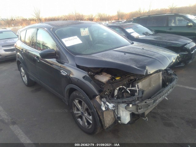 Ford Escape (2014)