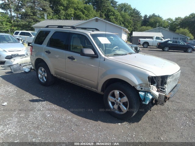 Ford Escape (2010)