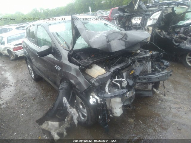 Ford Escape (2016)