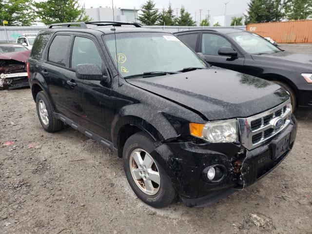 Ford Escape xlt (2010)