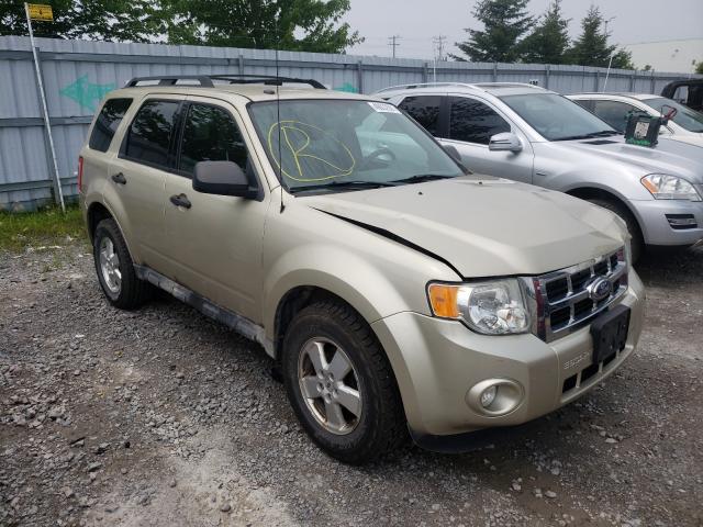 Ford Escape xlt (2011)