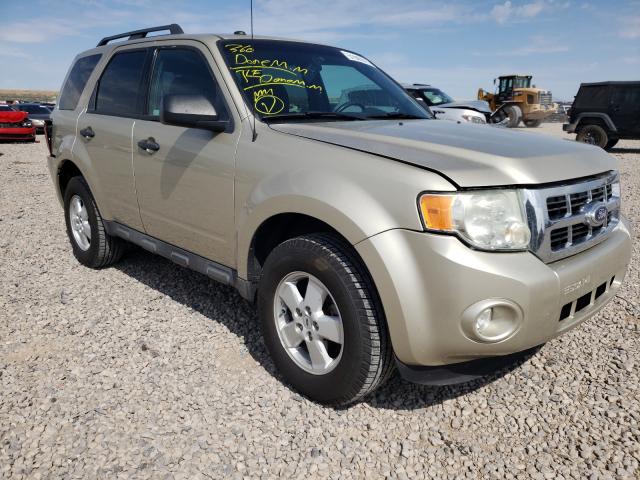 Ford Escape xlt (2010)