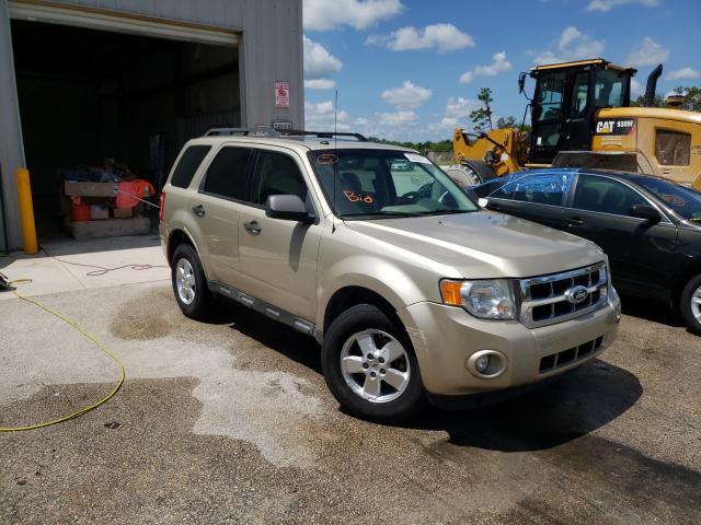 Ford Escape xlt (2010)