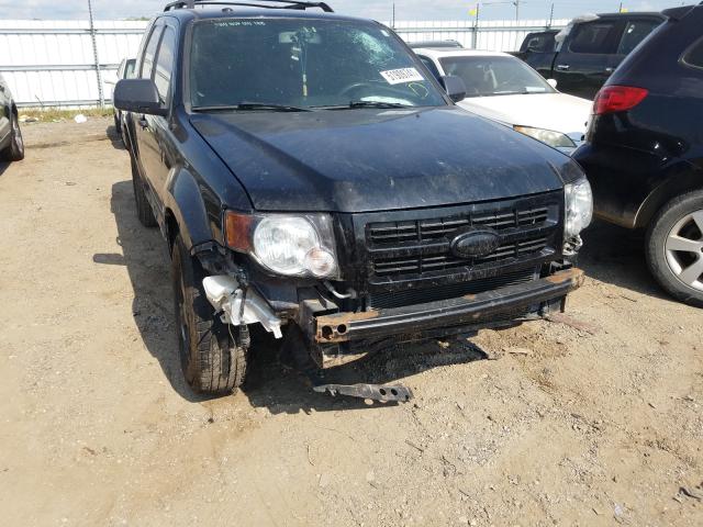Ford Escape xlt (2010)