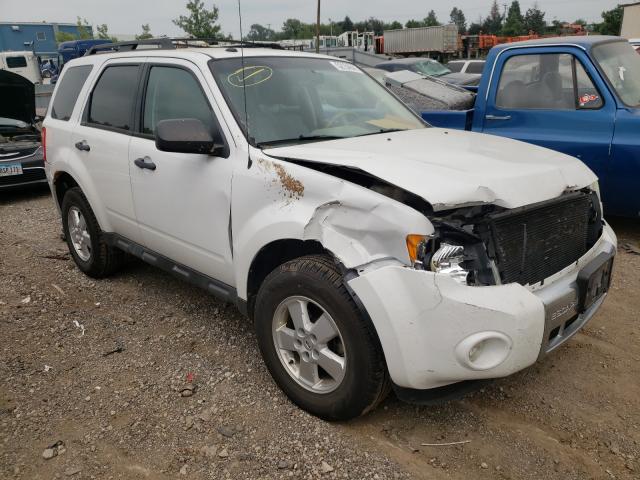 Ford Escape xlt (2010)