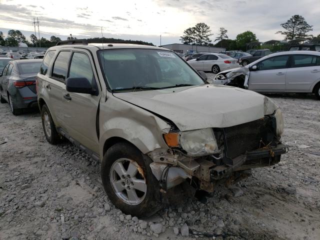 Ford Escape xlt (2010)
