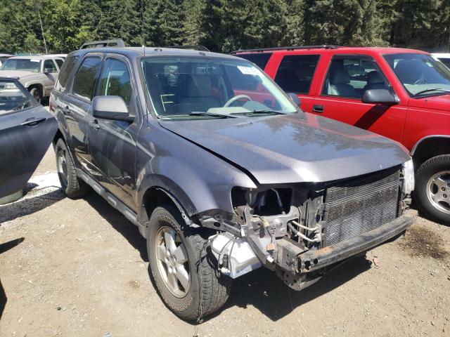 Ford Escape xlt (2010)