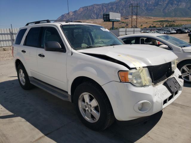 Ford Escape xlt (2010)