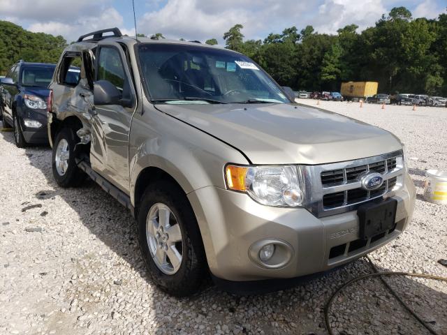Ford Escape xlt (2011)