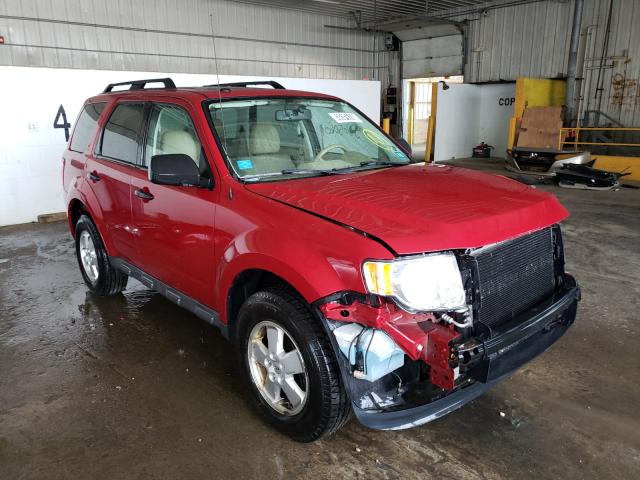 Ford Escape xlt (2011)