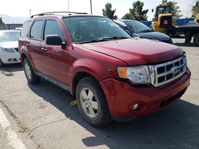 Ford Escape xlt (2011)