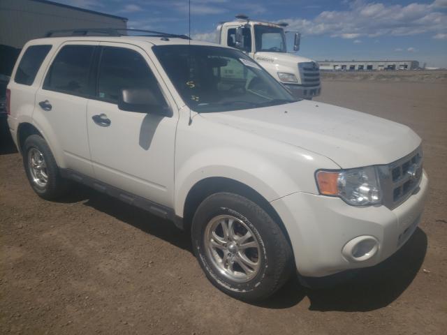 Ford Escape xlt (2011)