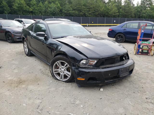 Ford Mustang (2012)