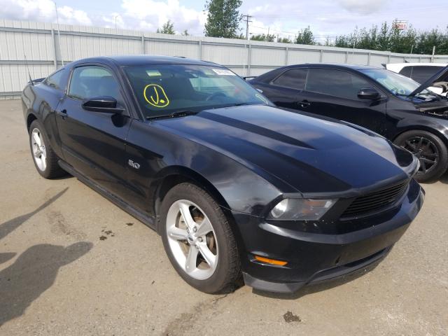 Ford Mustang gt (2012)